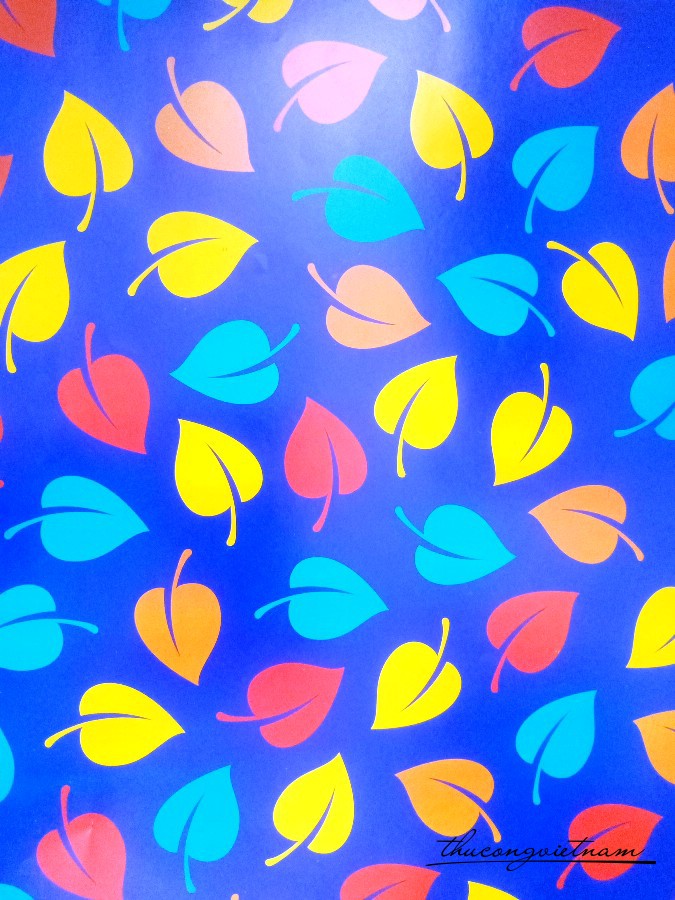 Giấy gói quà Couche - C24